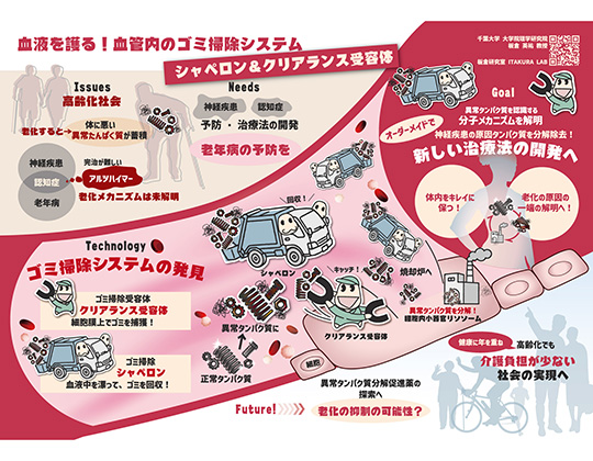 生物学研究部門 板倉英祐教授のインフォグラフィックがCHIBADAI NEXTのHPに掲載されました。