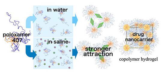 CHIBADAI NEXTに、化学研究部門 森田　剛准教授の記事（英語版）が公開されました。