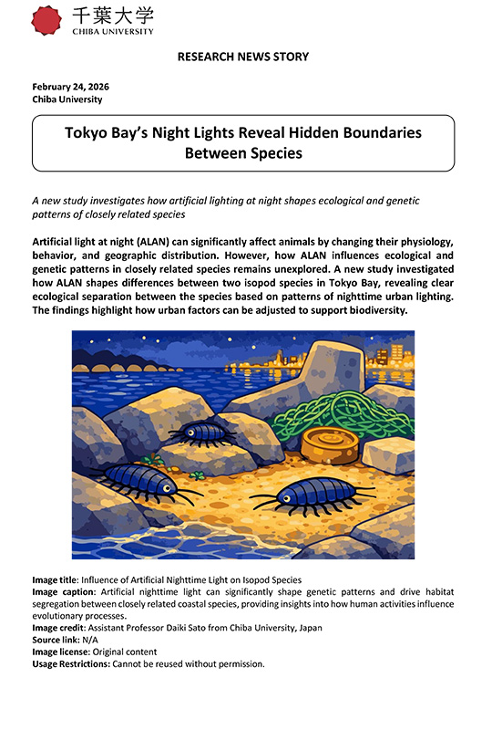 CHIBADAI NEXTに、千葉大学国際高等研究基幹 佐藤大気特任助教の記事（英語版）が公開されました。